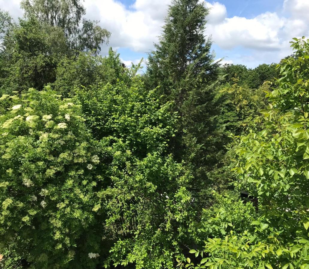 Vakantie Appartement In Luxemburg Berbourg 外观 照片